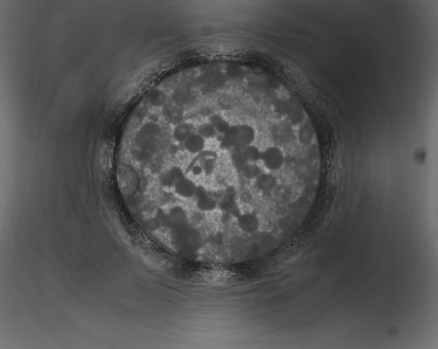 X0000116580695200912312015