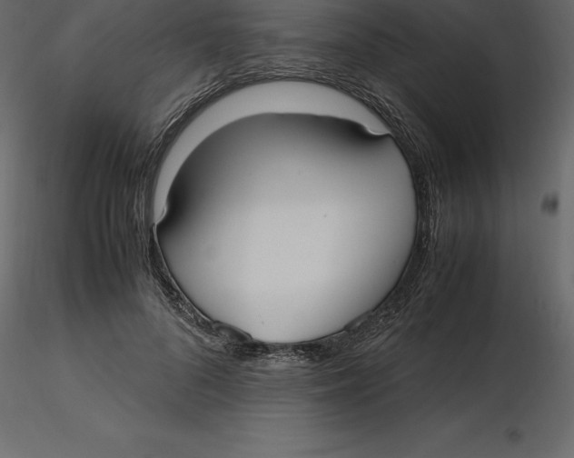 X0000116580696200912312015