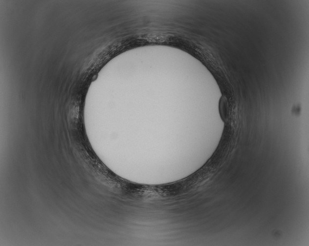 X0000116580697200912312015