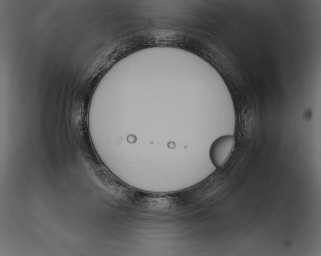 X0000116580698200912312015