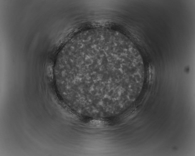 X0000116580699200912312015