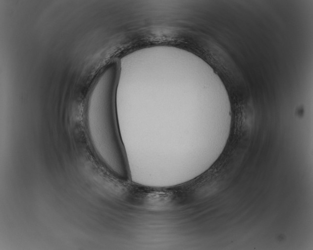 X0000116580700200912312015