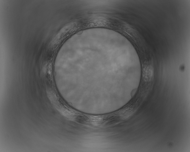 X0000116580701200912312015