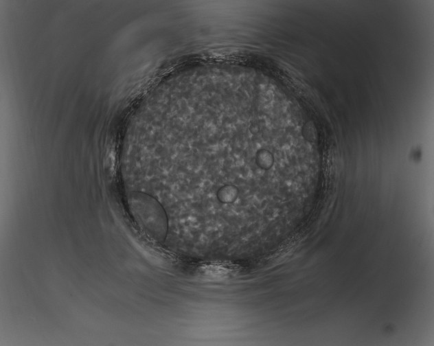 X0000116580703200912312015