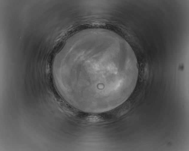 X0000116580704200912312015