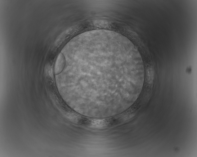 X0000116580705200912312015