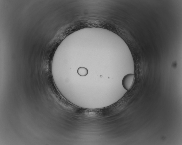 X0000116580706200912312015