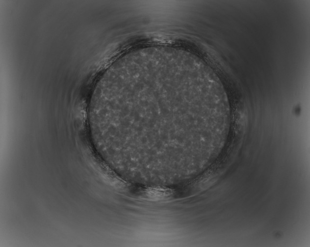 X0000116580707200912312015