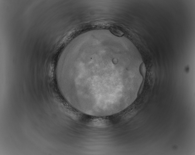 X0000116580708200912312015