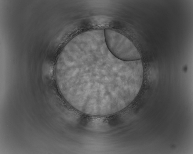 X0000116580709200912312015