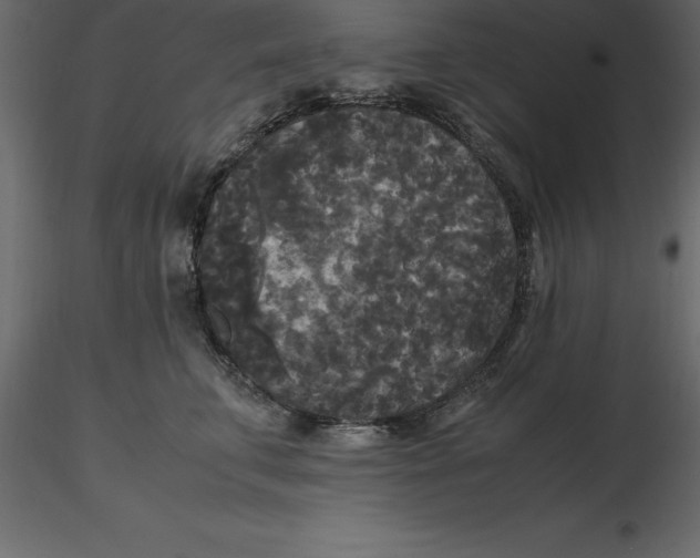 X0000116580711200912312015