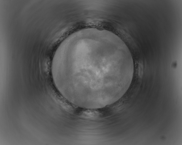 X0000116580712200912312015