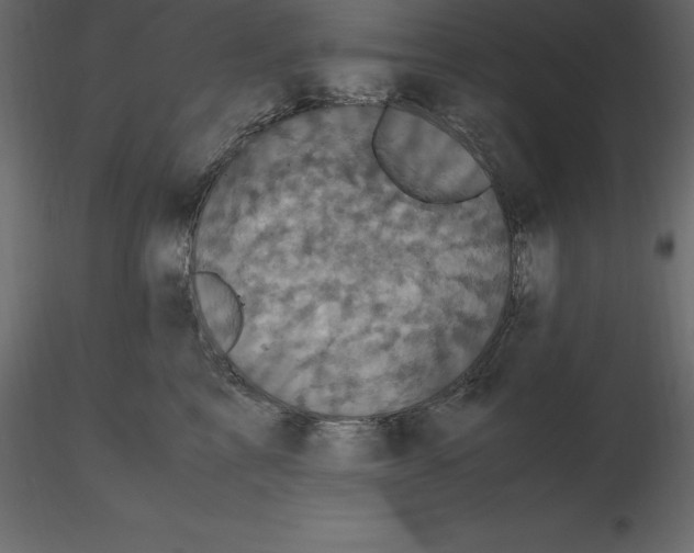 X0000116580713200912312015