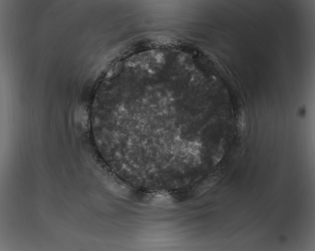 X0000116580715200912312014