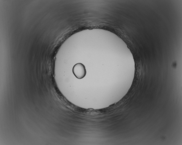 X0000116580716200912312014