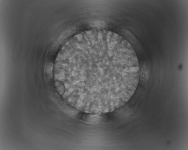 X0000116580717200912312014