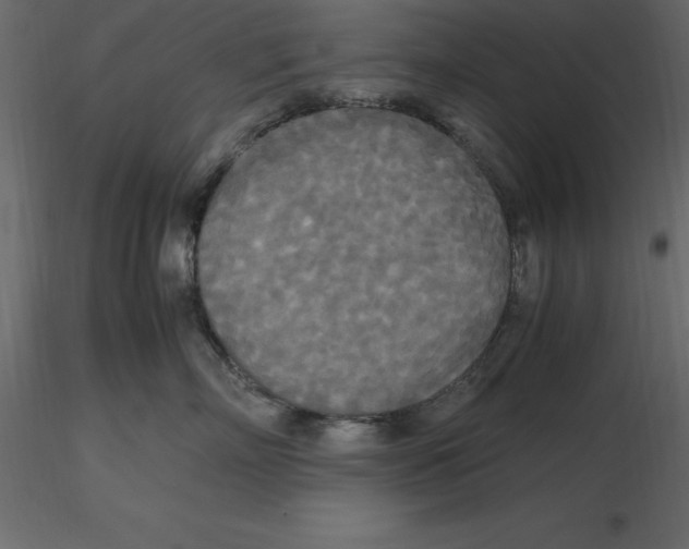 X0000116580718200912312014