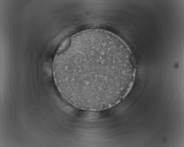 X0000116580719200912312014