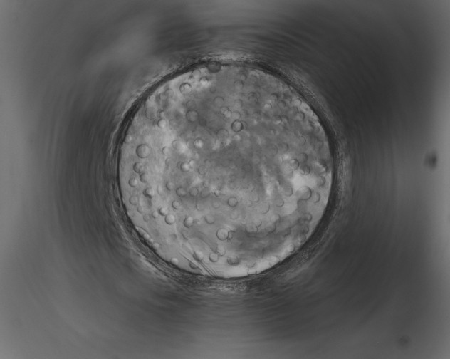 X0000116580721200912312014