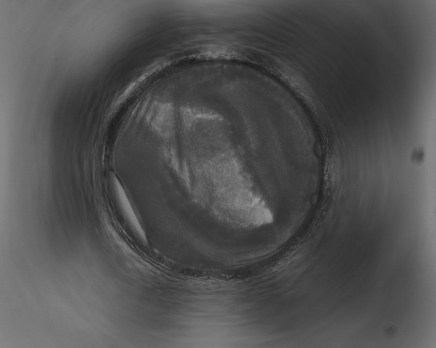 X0000116580722200912312014