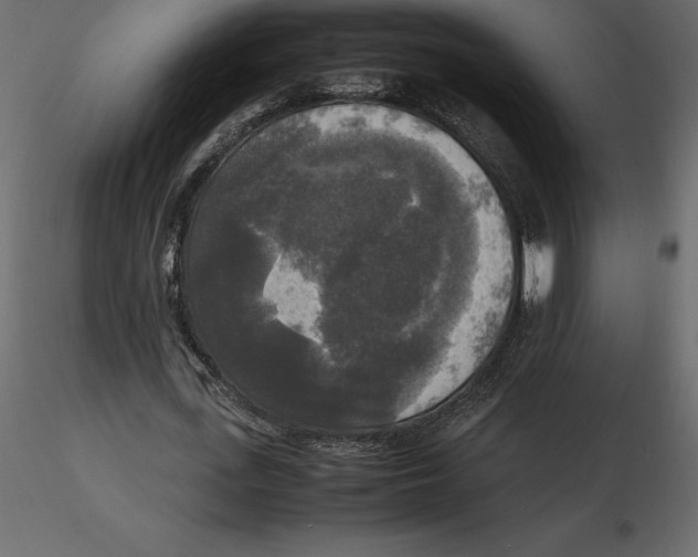 X0000116580723200912312014