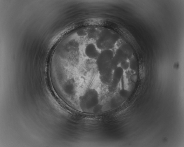 X0000116580725200912312014