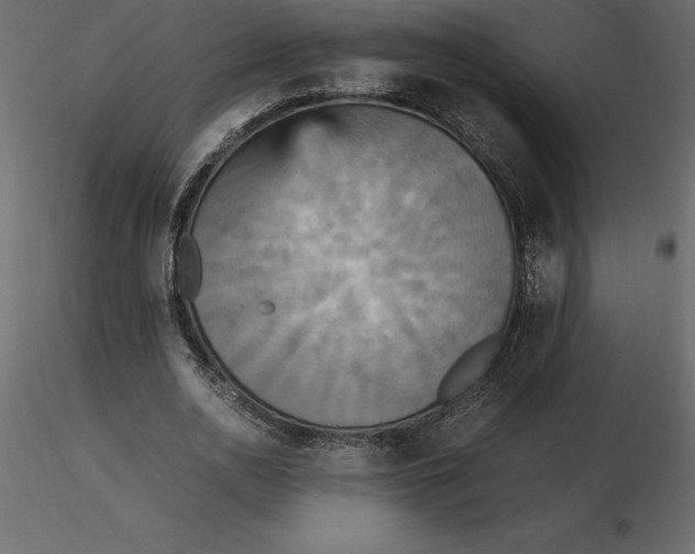 X0000116580726200912312014