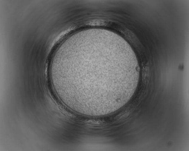 X0000116580727200912312014