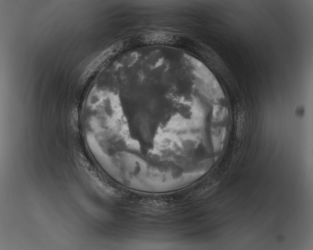 X0000116580729200912312014