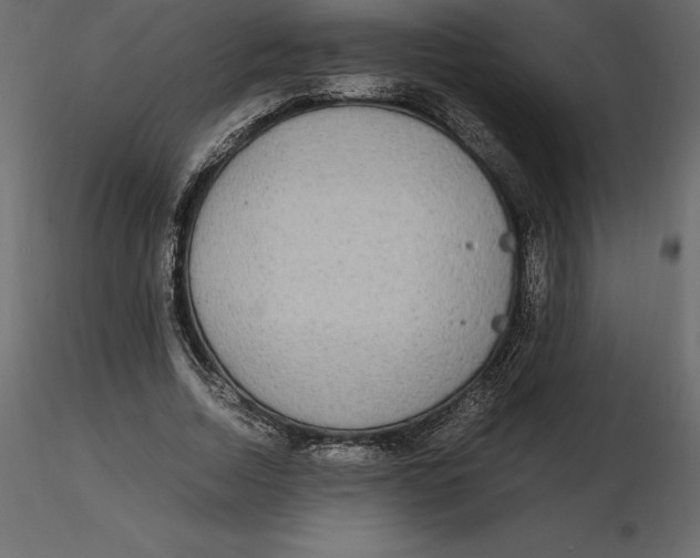 X0000116580730200912312014