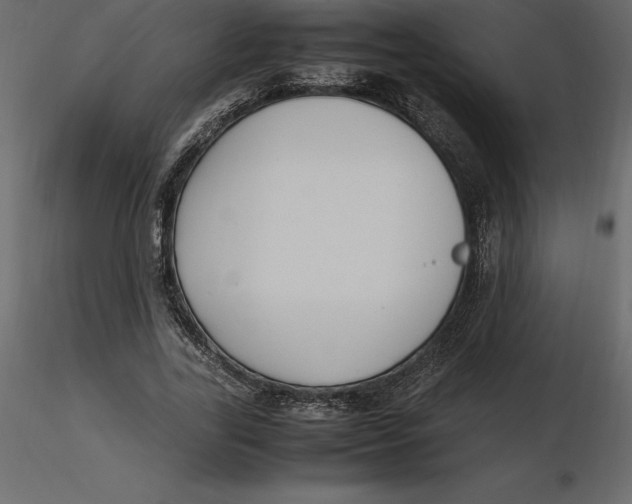 X0000116580731200912312014