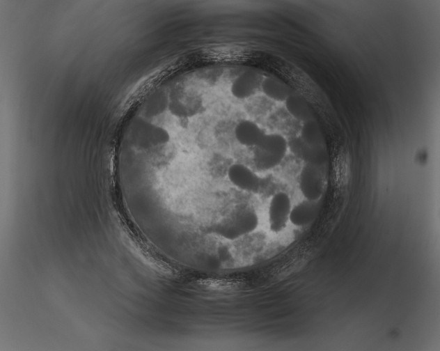 X0000116580733200912312014