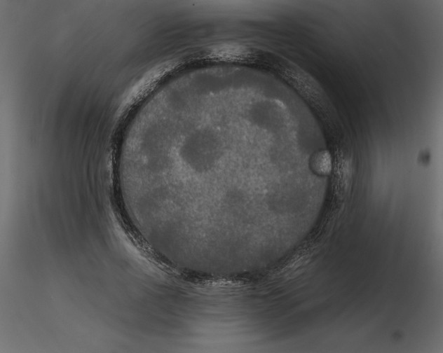 X0000116580734200912312014