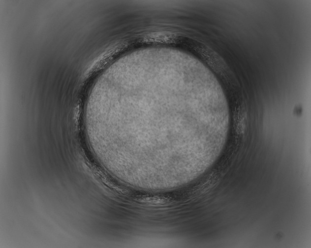 X0000116580735200912312014