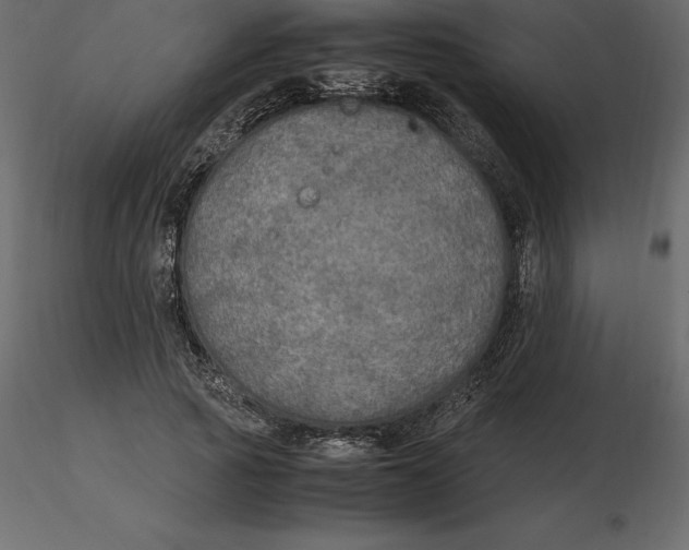 X0000116580737200912312014