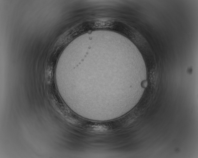 X0000116580741200912312014