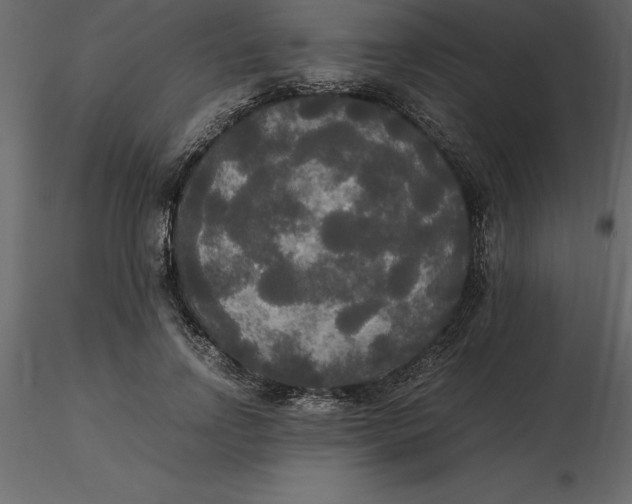 X0000116580742200912312014