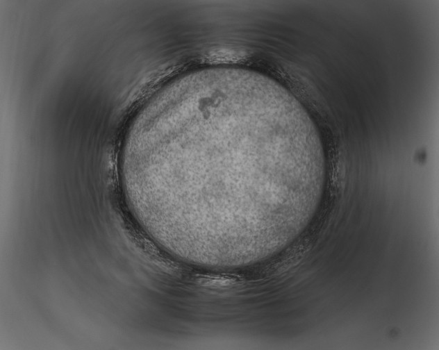 X0000116580743200912312014