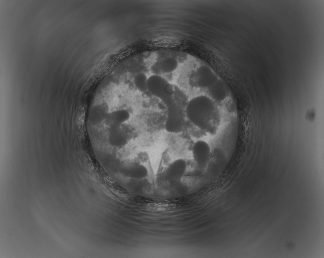 X0000116580745200912312014