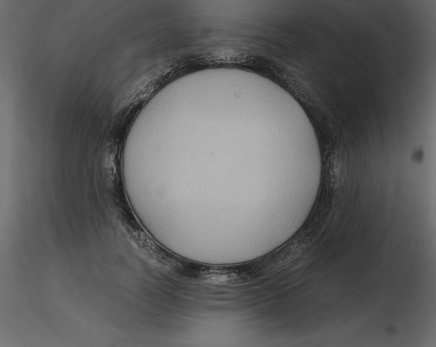 X0000116580746200912312014