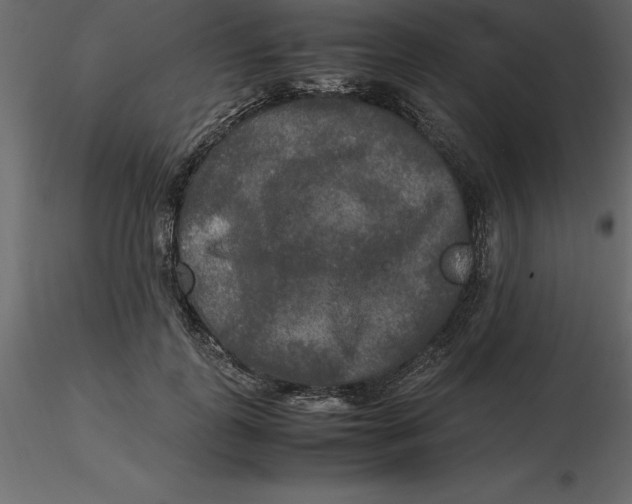 X0000116580747200912312014