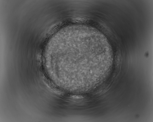 X0000116580749200912312014