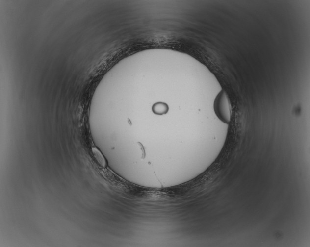 X0000116580750200912312014