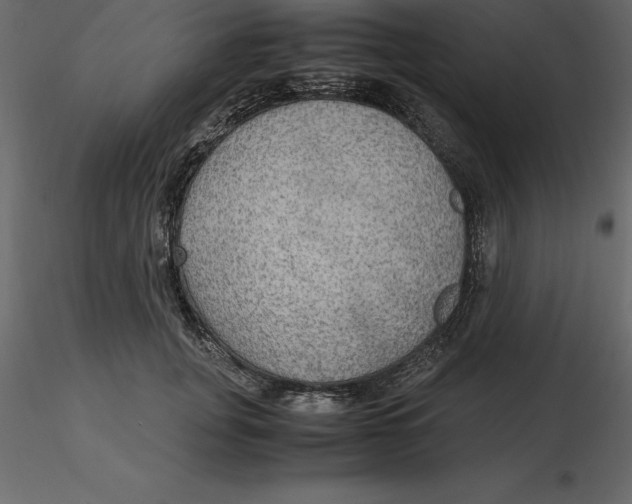 X0000116580751200912312014