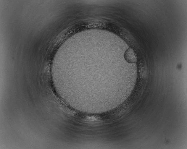 X0000116580753200912312014