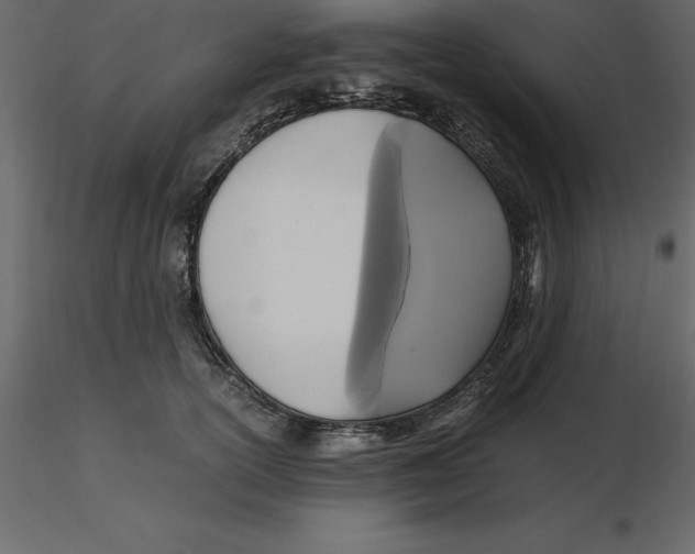 X0000116580754200912312014