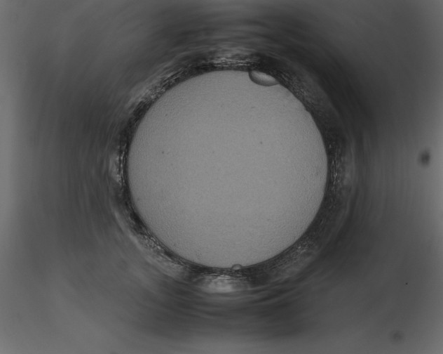 X0000116580755200912312014