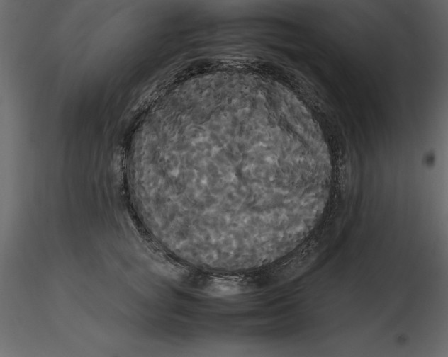 X0000116580757200912312014