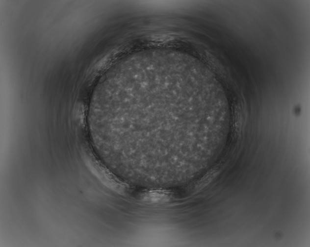 X0000116580758200912312014