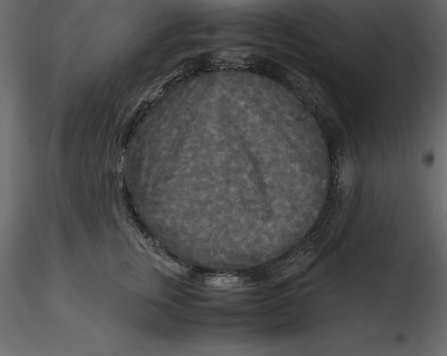 X0000116580759200912312014